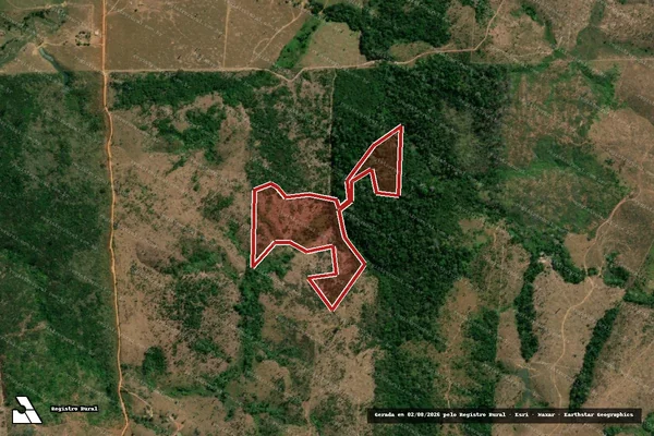 Imagem de satélite de Infração da Flora em Colniza - MT