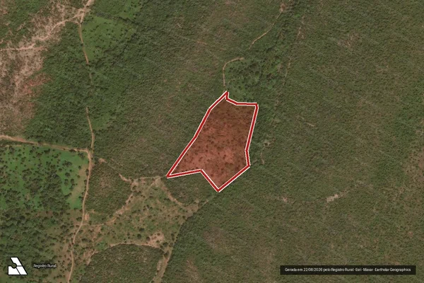 Imagem de satélite — Embargo IBAMA — Infração da Flora - Pindorama do Tocantins/TO