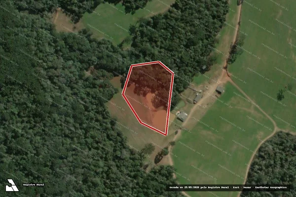 Imagem de satélite de Infração Ambiental em Fernandes Pinheiro - PR