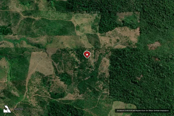 Imagem de satélite de Infração da Flora em Anápolis - GO (marcador da localização)