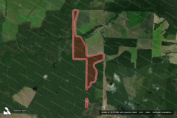 Imagem de satélite — Embargo IBAMA — Infração da Flora - Tailândia/PA