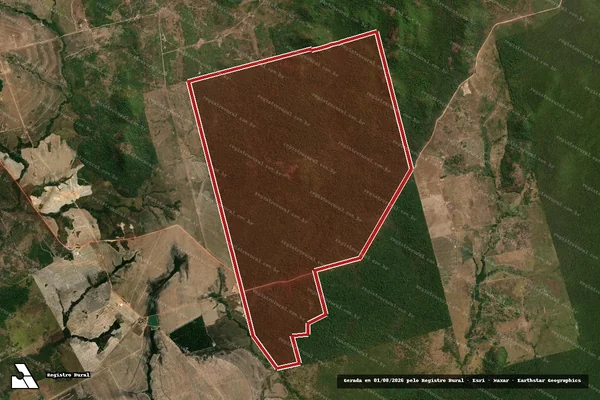Imagem de satélite — Embargo Ambiental — Santana do Araguaia/PA