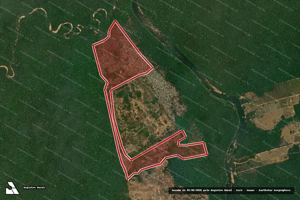 Imagem de satélite de Infração da Flora em Novo Progresso - PA
