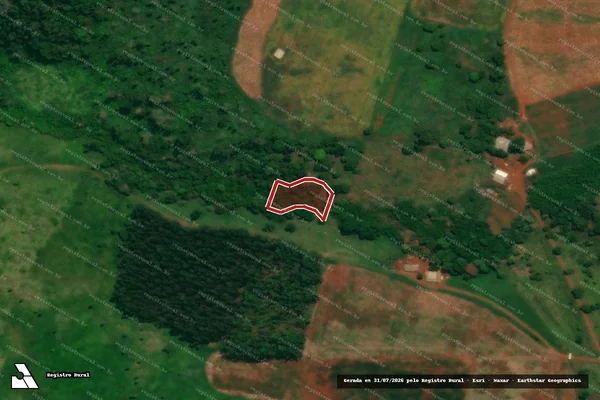 Imagem de satélite de Infração da Flora em Quedas do Iguaçu - PR