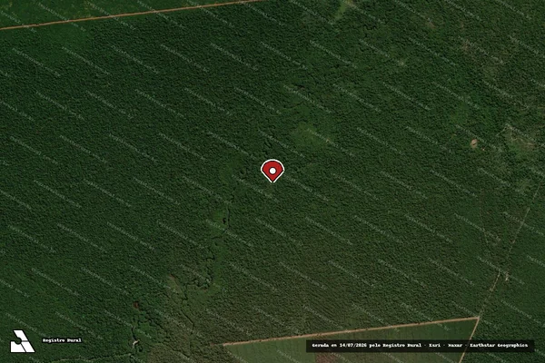 Imagem de satélite de Infração da Flora em Nova Ubiratã - MT (marcador da localização)