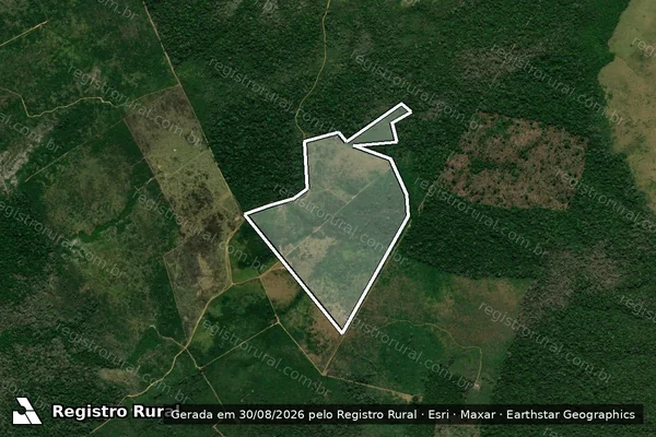 Imagem de satélite de Infração Ambiental em Apuí - AM
