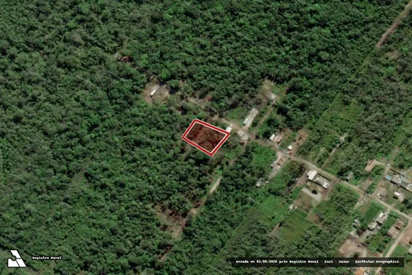 Imagem de satélite de Infração da Flora em Pontal do Paraná - PR