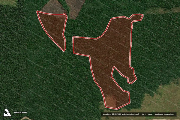 Imagem de satélite de Infração da Flora em Canutama - AM