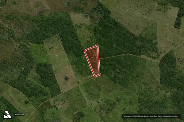 Imagem de satélite de Infração da Flora em Novo Santo Antônio - MT