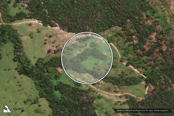 Imagem de satélite de Infração Ambiental em Catalão - GO