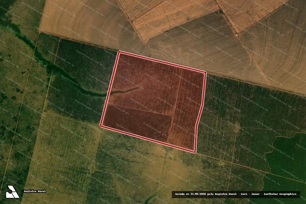 Imagem de satélite de Infração da Flora em Bom Jesus do Araguaia - MT