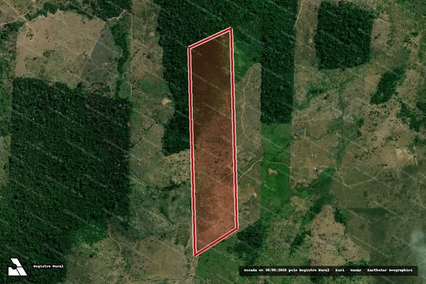 Imagem de satélite de Infração da Flora em Novo Repartimento - PA