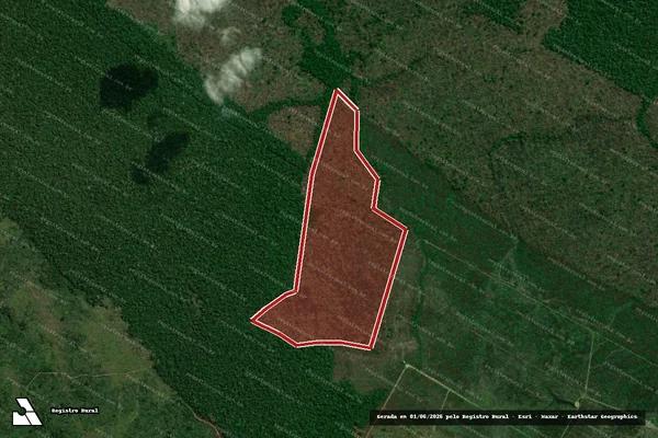 Imagem de satélite de Infração Ambiental em Novo Aripuanã - AM
