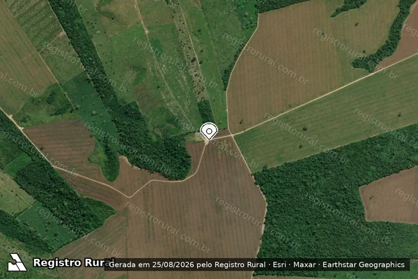 Imagem de satélite de Desmatamento em Santarém - PA (marcador da localização)