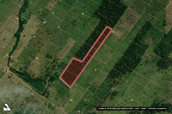 Imagem de satélite de Infração da Flora em Porto Velho - RO