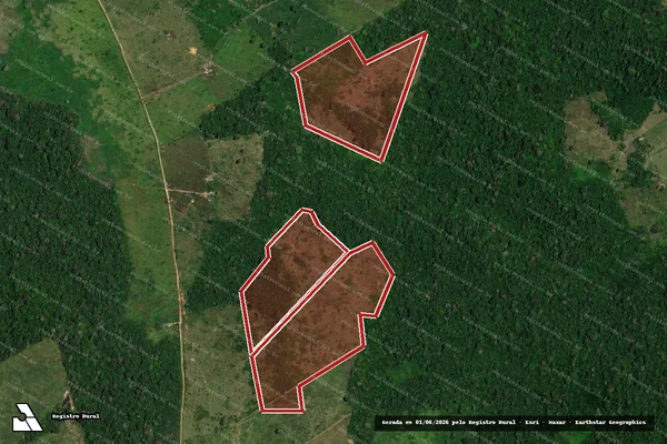 Imagem de satélite de Infração da Flora em Senador José Porfírio - PA
