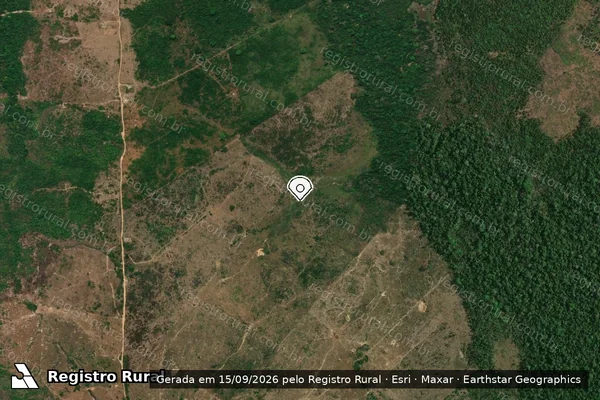 Imagem de satélite de Infração Ambiental em Colniza - MT (marcador da localização)