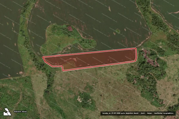 Imagem de satélite de Infração da Flora em Novo Progresso - PA