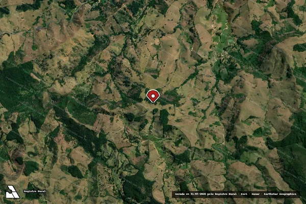 Imagem de satélite de Infração da Fauna em São Francisco do Glória - MG (marcador da localização)