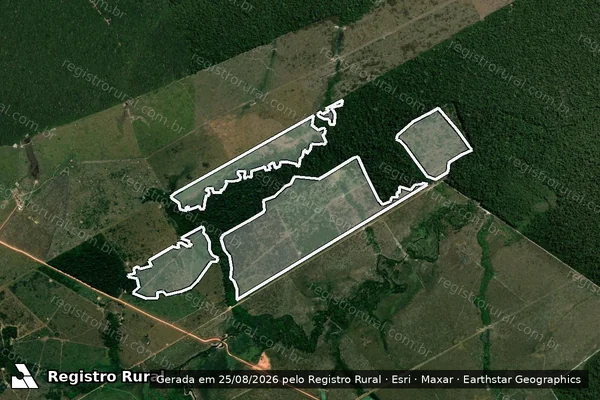 Imagem de satélite de Infração da Flora em Manicoré - AM