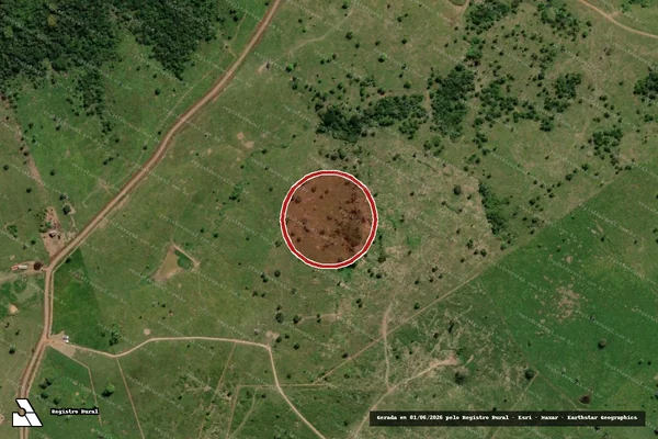 Imagem de satélite de Desmatamento em Rio Branco - AC