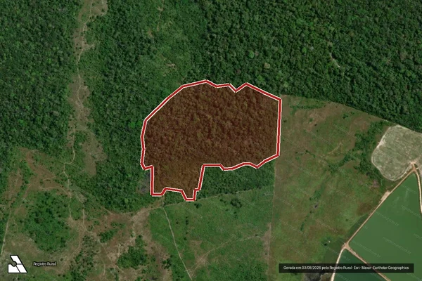 Imagem de satélite de Infração da Flora em Caracaraí - RR