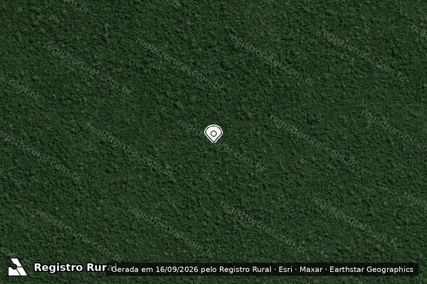 Imagem de satélite — Embargo IBAMA — Infração da Flora - Altamira/PA