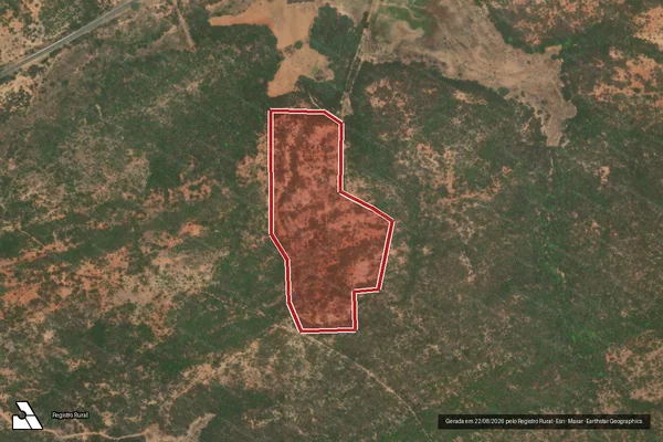Imagem de satélite — Embargo IBAMA — Infração Ambiental - Taperoá/PB