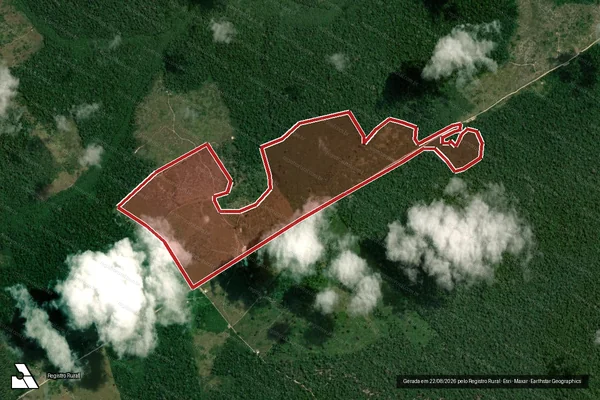 Imagem de satélite de Infração Ambiental em Portel - PA