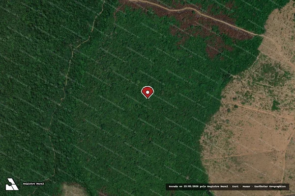 Imagem de satélite de Infração da Flora em Altamira - PA (marcador da localização)