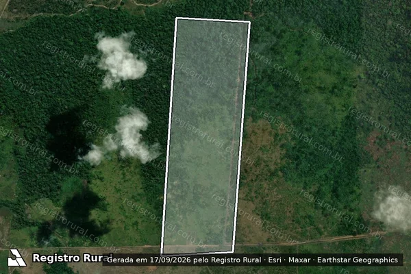 Imagem de satélite — Embargo IBAMA — Infração Ambiental - Humaitá/AM