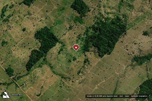 Imagem de satélite de Infração Ambiental em Ouro Preto do Oeste - RO (marcador da localização)