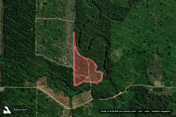 Imagem de satélite de Infração Ambiental em Candeias do Jamari - RO