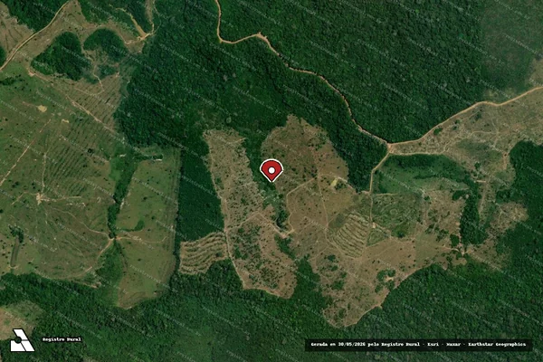 Imagem de satélite de Infração Ambiental em Apuí - AM (marcador da localização)