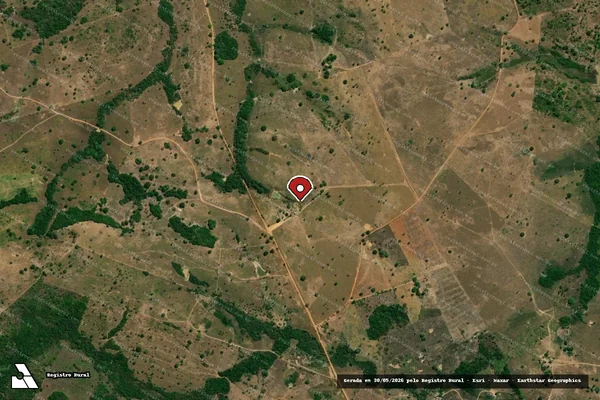 Imagem de satélite de Infração Ambiental em Arapoema - TO (marcador da localização)