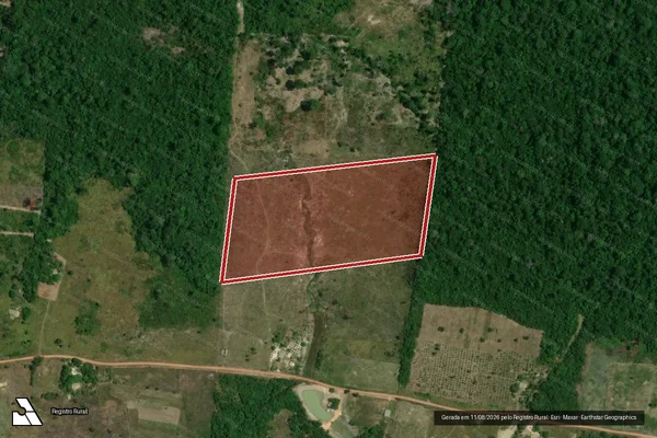 Imagem de satélite de Infração da Flora em Rorainópolis - RR