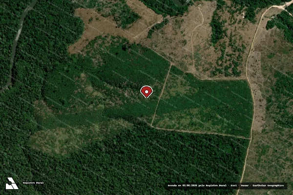 Imagem de satélite de Infração da Flora em Portel - PA (marcador da localização)