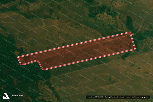 Imagem de satélite — Embargo Ambiental - Buritis/RO
