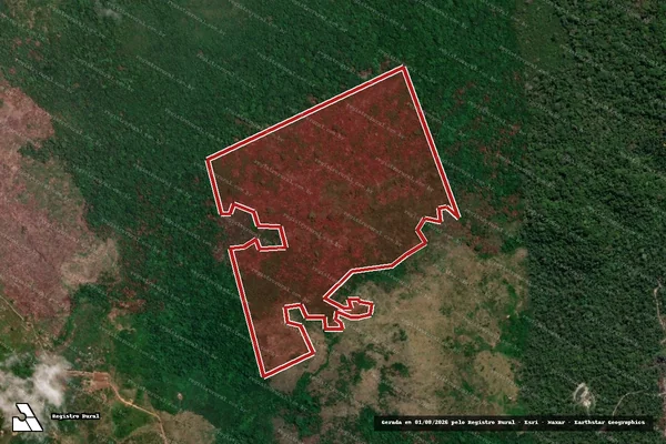 Imagem de satélite de Infração da Flora em Brasília - DF