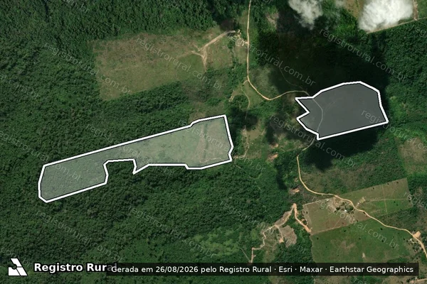 Imagem de satélite de Infração da Flora em Uruará - PA
