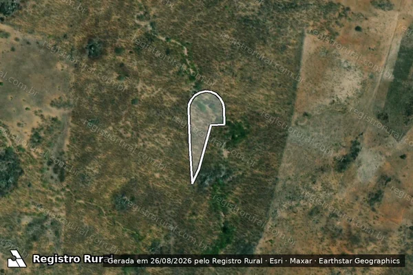 Imagem de satélite de Infração da Flora em Pão de Açúcar - AL