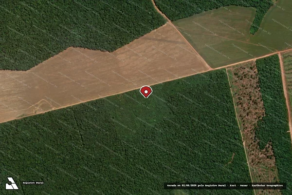 Imagem de satélite de Infração da Flora em Marcelândia - MT (marcador da localização)