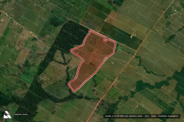 Imagem de satélite de Infração Ambiental em Porto Velho - RO