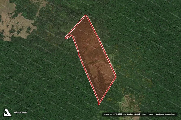 Imagem de satélite de Infração Ambiental em São Félix do Xingu - PA