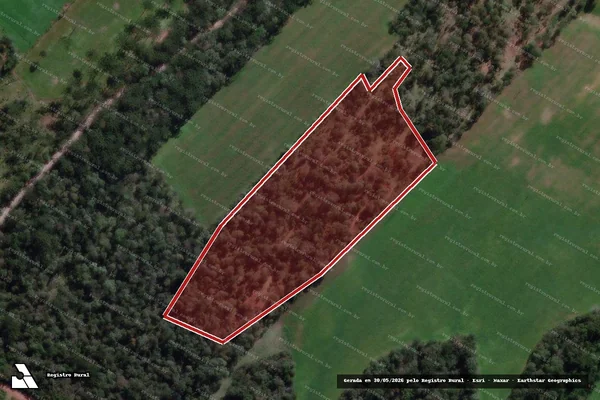 Imagem de satélite de Infração da Flora em Paulo Frontin - PR