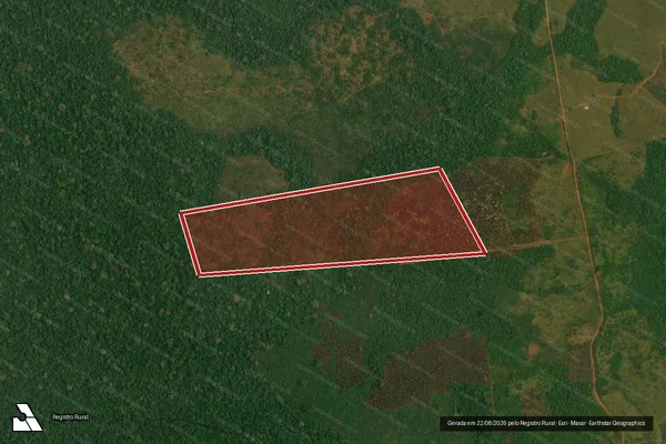 Imagem de satélite de Infração Ambiental em Novo Aripuanã - AM