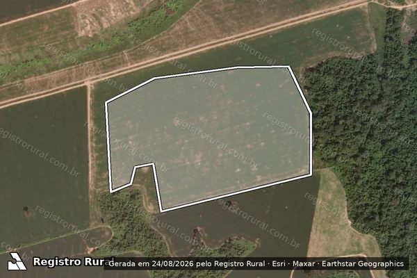 Imagem de satélite de Infração da Flora em Novo Progresso - PA
