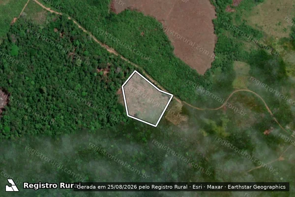 Imagem de satélite de Infração da Flora em Tartarugalzinho - AP