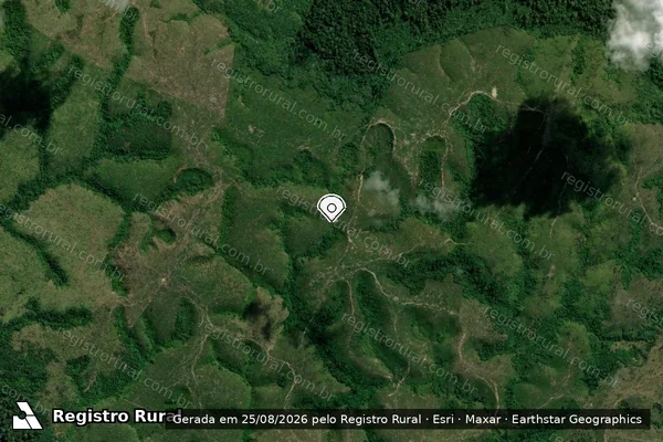 Imagem de satélite — Embargo IBAMA — Infração da Flora — Pauini/AM