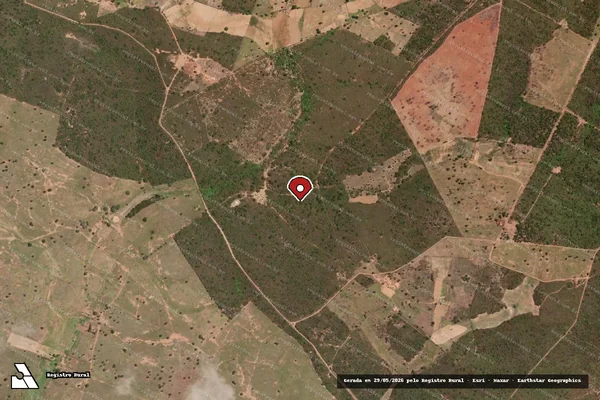 Imagem de satélite de Infração da Flora em Afrânio - PE (marcador da localização)